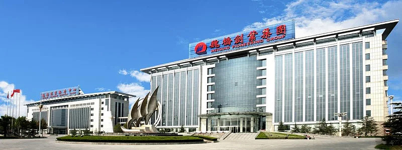 80岁登顶中国女首富!山东老太给全球豪门上了一课(组图) - 4