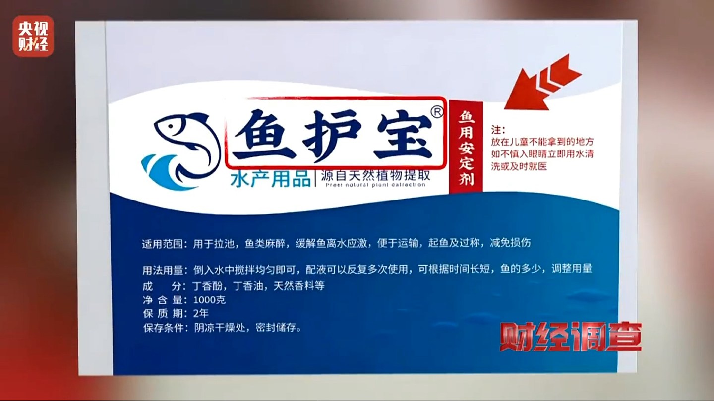 央视揭活鱼休眠真相：工业酒精勾兑三无麻醉剂，长期食用恐伤肝肾（组图） - 4