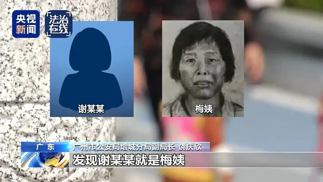 “梅姨”细节披露越多，越觉得可怕...（组图） - 1
