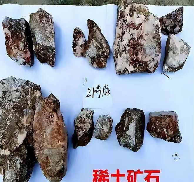 39人落网！中方追回走私稀土，价值46个亿，美国砸重金收买内鬼（组图） - 3