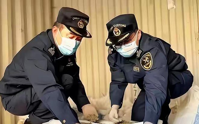 39人落网！中方追回走私稀土，价值46个亿，美国砸重金收买内鬼（组图） - 4