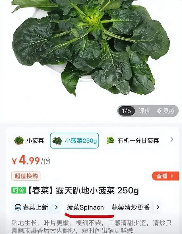 54岁瞿颖再翻红，活成打工人嘴替（组图） - 4