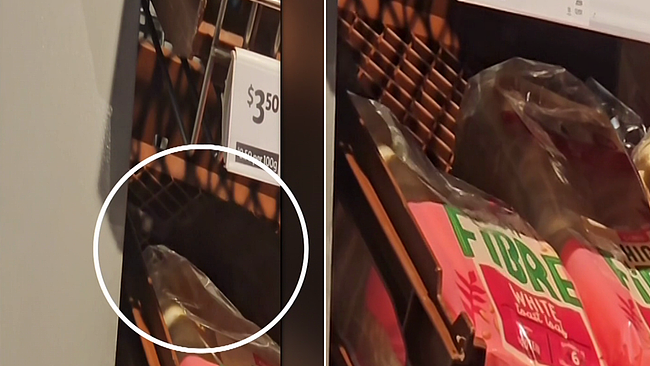Coles惊现多只老鼠穿行面包货架，超市紧急回应食品安全问题（图） - 1