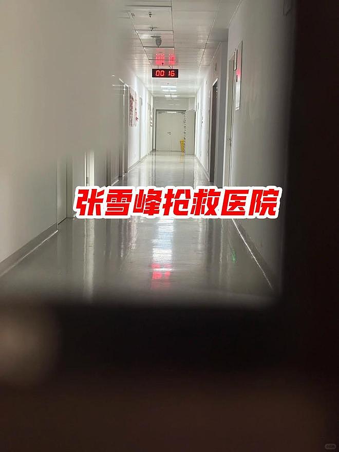 曝张雪峰倒下30分钟后才被发现，饮食习惯糟糕，一口气吃8根雪糕（组图） - 6
