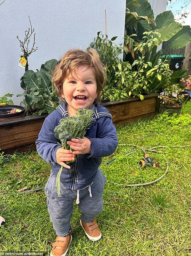 悉尼2岁幼童因误诊丧命！新州紧急出台新法：家长有权质疑医疗方案（组图） - 2