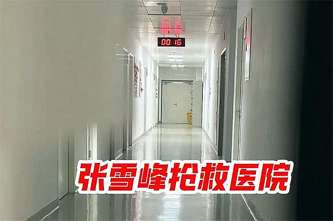 知情人曝张雪峰去世细节，倒地30分钟后才被发现，熬夜喜欢吃甜食 - 7