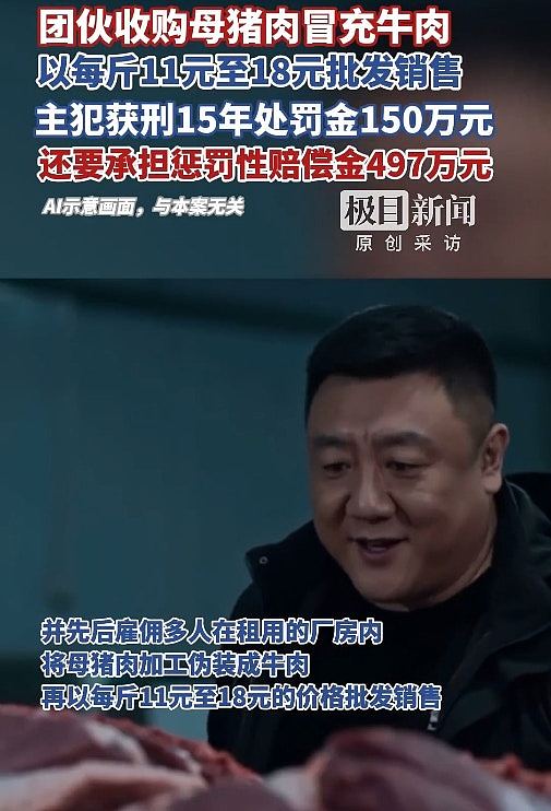 黑心家族用猪肉制假牛肉售卖，内部分工采购到结算一条龙包办（组图） - 4