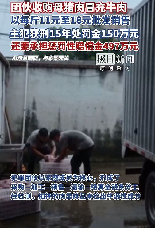 黑心家族用猪肉制假牛肉售卖，内部分工采购到结算一条龙包办（组图） - 5