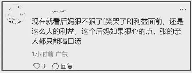 张雪峰遗产分割复杂!11岁女儿面临跟后妈争产,是否立遗嘱成关键 - 13