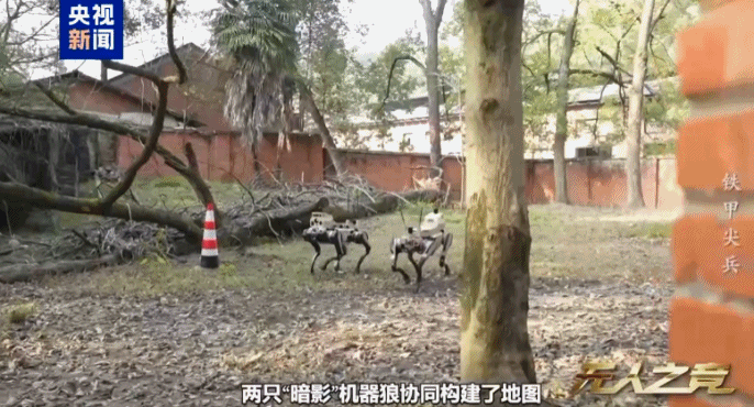 中国机器狼群巷战画面首次公开（组图） - 3