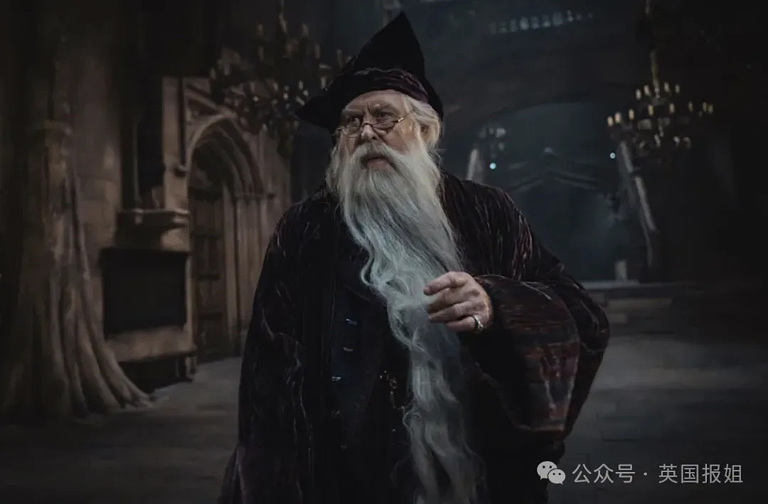 新版《哈利·波特》非裔斯内普教授首曝光！梳脏辫戴金戒引热议，演员本人却称被死亡威胁（组图） - 7