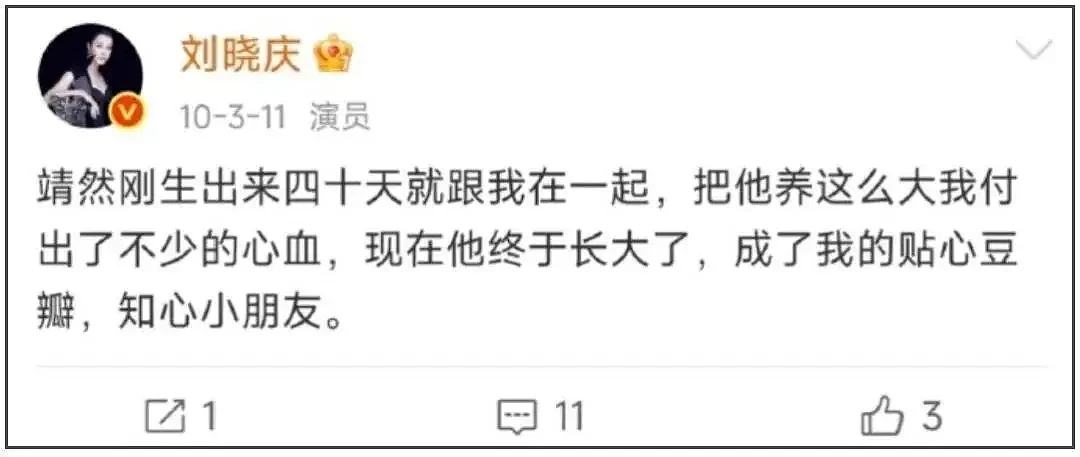 刘晓庆公开炮轰外甥造谣：75岁无儿无女，养老钱归属引发家庭矛盾 - 6