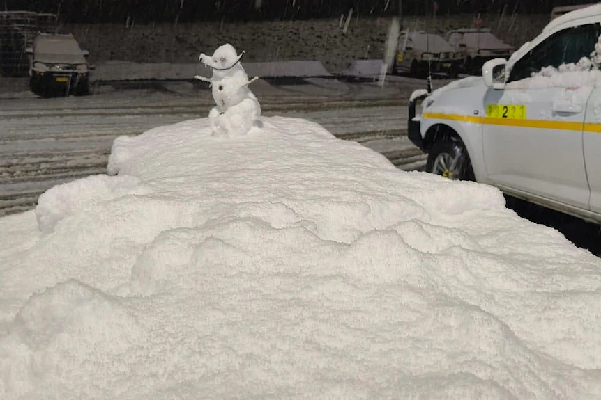 超罕见！新州多地降下“3月雪”，气温骤降20多度破纪录（组图） - 1