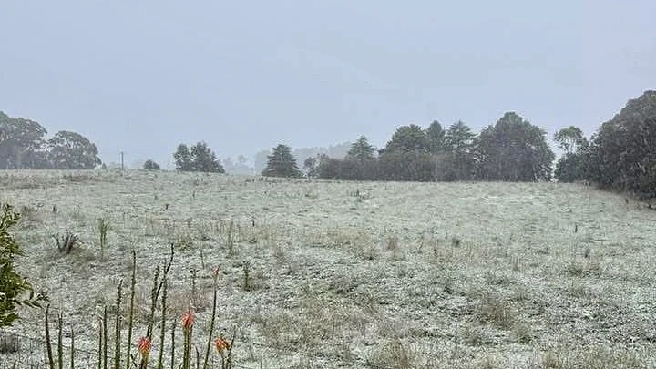 超罕见！新州多地降下“3月雪”，气温骤降20多度破纪录（组图） - 2