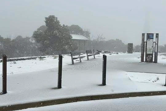 超罕见！新州多地降下“3月雪”，气温骤降20多度破纪录（组图） - 4