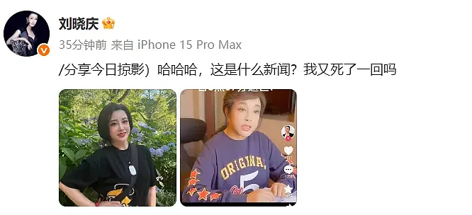 刘晓庆称自己死讯谣言为外甥散布，其妹妹外甥发声（组图） - 5