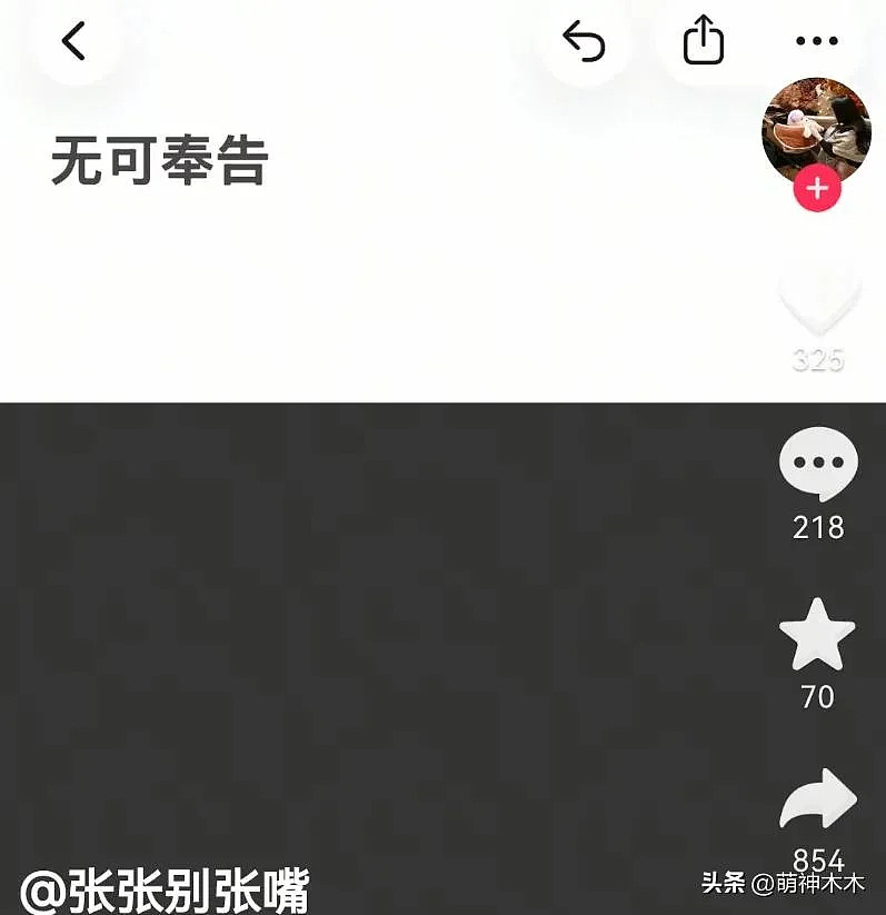 张雪峰前女友哭红眼,否认介入张雪峰婚姻(组图) - 12