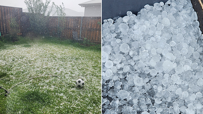 澳洲多州遭极端天气横扫！新州维州降雪，悉尼数千户断电，西澳飓风肆虐（组图） - 2