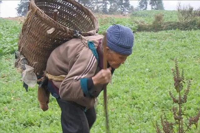 29万人逃离湖南,22万人离开吉林!人口大迁徙中,谁是最后赢家?(组图) - 4