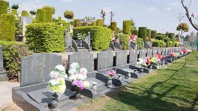 3月30日执行！不用再买墓地，国家将正式放开殡葬新抉择（组图） - 1