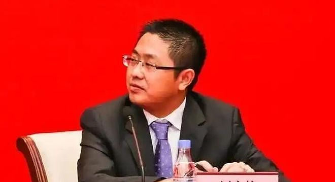 恒大蛀虫刘永灼,他挥霍败家的疯狂堪比许家印(组图) - 2