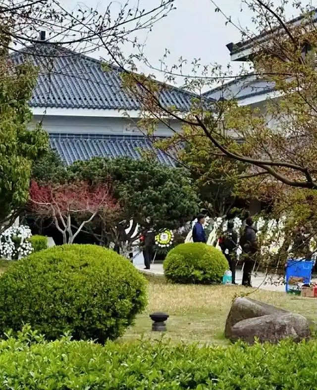 张雪峰二婚妻子付幸：几个月婚姻分走数亿，11岁女儿遗产继承复杂 - 1