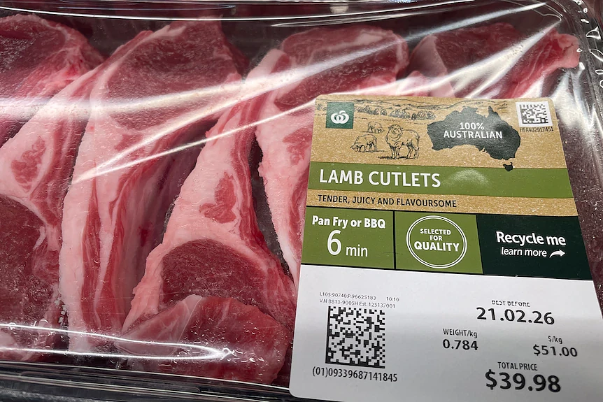 澳洲羊肉价格飙升:每只羔羊卖出$500天价,全澳羊群数量恐创历史新低(组图) - 4
