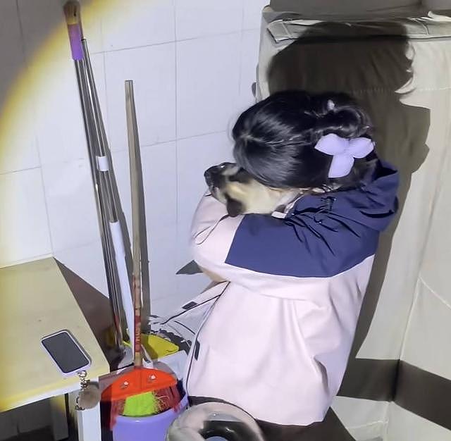 找一次猫狗最高收8000元？揭秘“寻宠师”的世界：这个行业比想象中复杂（组图） - 1