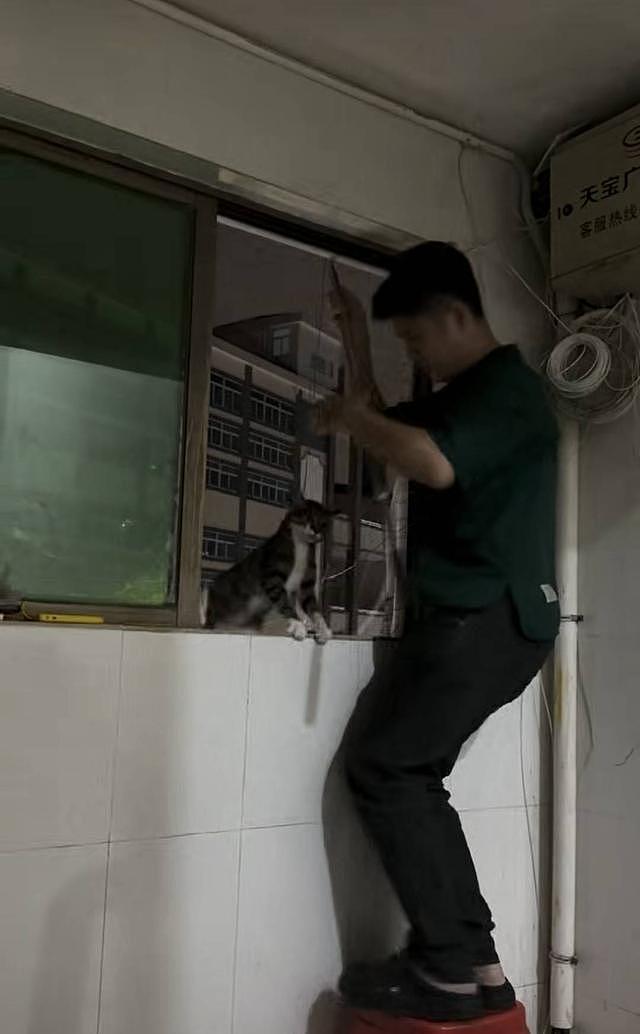 找一次猫狗最高收8000元？揭秘“寻宠师”的世界：这个行业比想象中复杂（组图） - 3