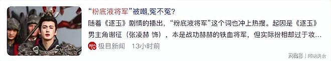 张凌赫事件持续升级!官方点名怒批,粉丝正面硬刚,这下恐要凉凉(组图) - 16