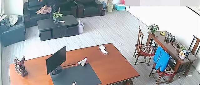 办公室不雅行为！摄像头忘关视频曝光，这些人把“体面”丢了一地（组图） - 3