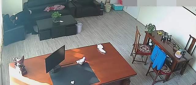 办公室不雅行为！摄像头忘关视频曝光，这些人把“体面”丢了一地（组图） - 4