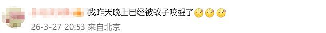 冲上热搜！今年蚊子可能迎来史诗级加强？网友：遭不住了（组图） - 4