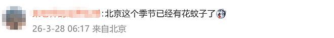 冲上热搜！今年蚊子可能迎来史诗级加强？网友：遭不住了（组图） - 5