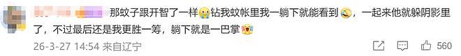 冲上热搜！今年蚊子可能迎来史诗级加强？网友：遭不住了（组图） - 8