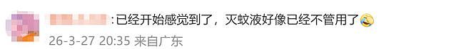 冲上热搜！今年蚊子可能迎来史诗级加强？网友：遭不住了（组图） - 10