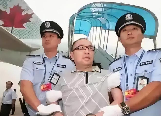 纽约机场一副手铐，如何震碎了神秘富豪的3000亿“假央企”（组图） - 4