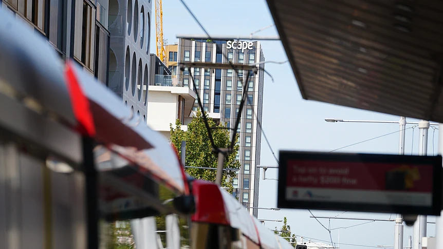 10比1！悉尼Randwick议会呼吁禁令：严控留学生公寓以保本地住房（组图） - 1