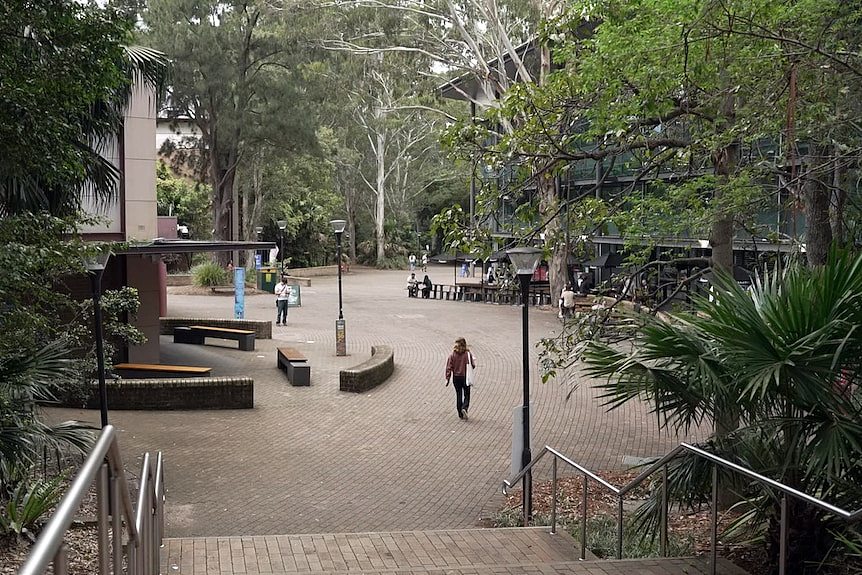澳洲大学“企业化”引争议：年砸$18亿请顾问，造假数据牵出裁员风波（组图） - 6