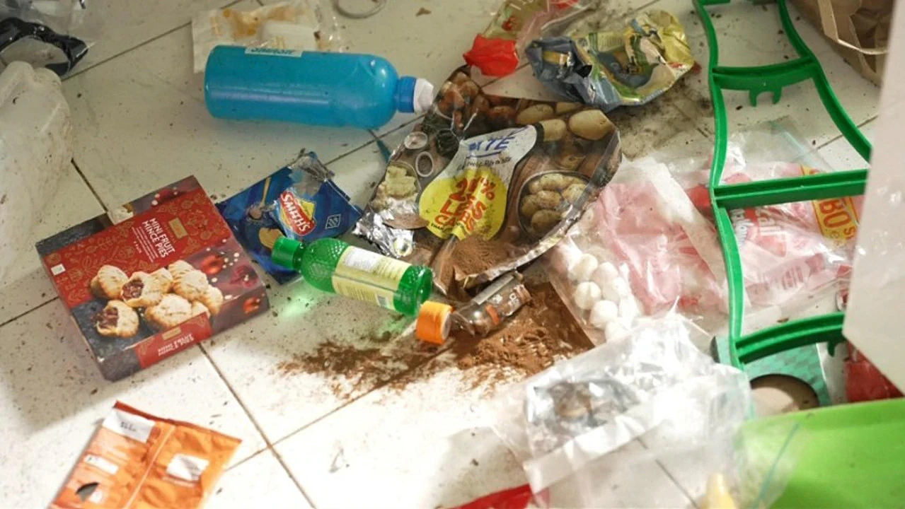 悉尼房东天塌了!$200万房屋变垃圾场,恶霸租客留满屋废物,清洁工直呼恶心(组图) - 3