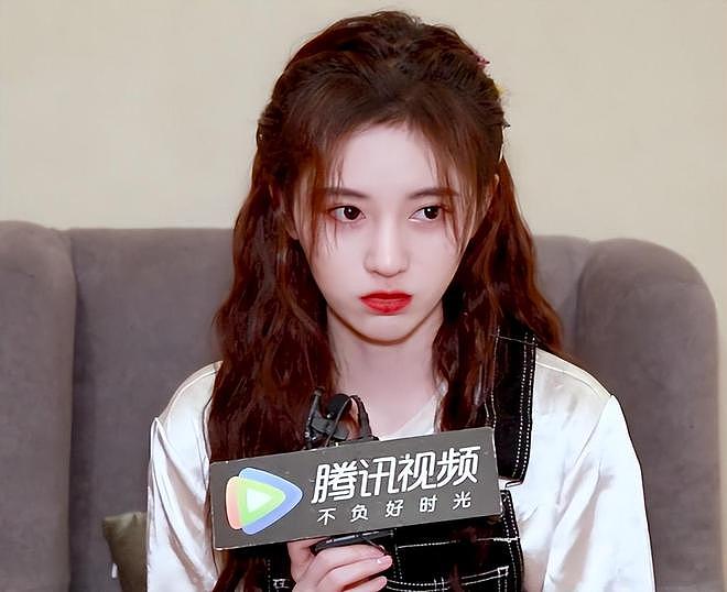 鞠婧祎被实名举报偷税漏税!涉及金额5000万,四部待播剧或受影响(组图) - 13