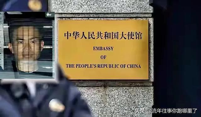 奉陪到底，外交部宣布动手，罚单已发往日本，有人财产全被冻结（组图） - 6