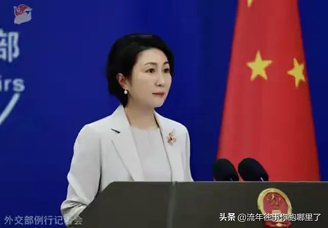 奉陪到底，外交部宣布动手，罚单已发往日本，有人财产全被冻结（组图） - 7