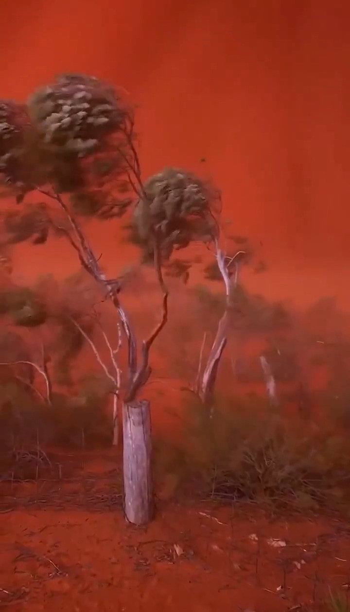宛如末日降临!澳西海岸突现血红天空,气象专家揭秘背后真相(组图) - 3