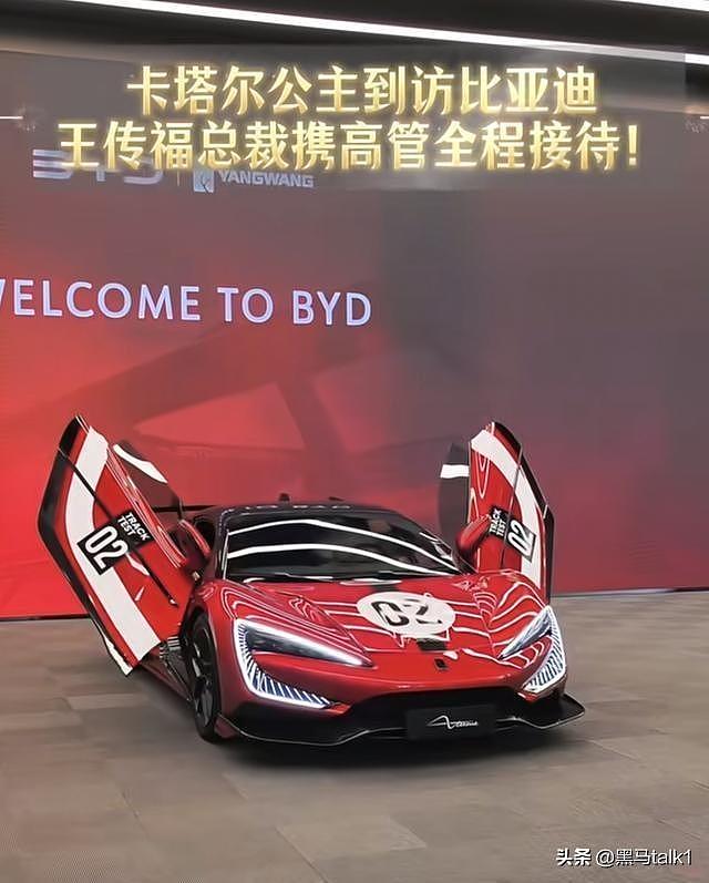 卡塔尔公主来深圳提车，比亚迪王传福要白送？国产车靠硬技术逆袭（组图） - 6