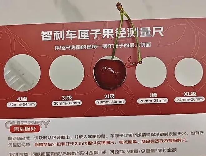 冷知识：千万不要买太大的蓝莓！！！（组图） - 3
