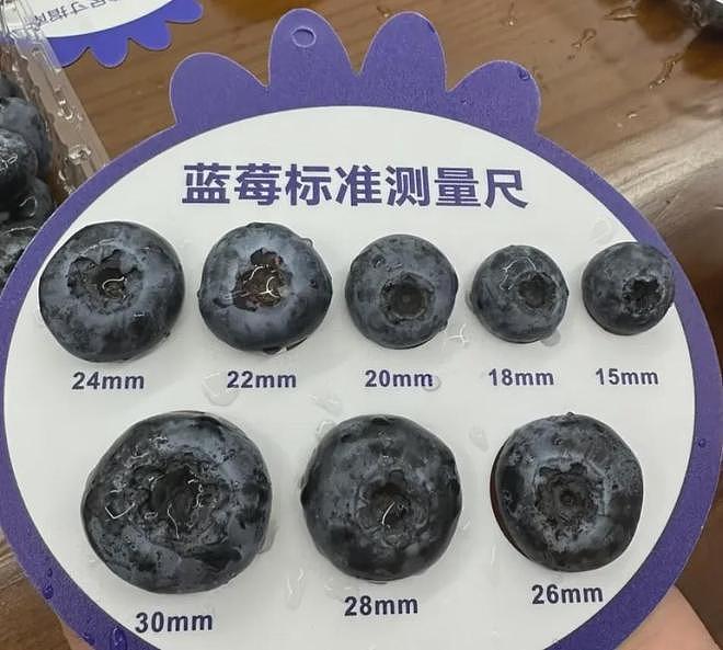 冷知识：千万不要买太大的蓝莓！！！（组图） - 4