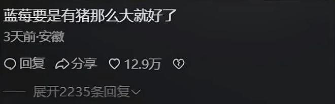 冷知识：千万不要买太大的蓝莓！！！（组图） - 5