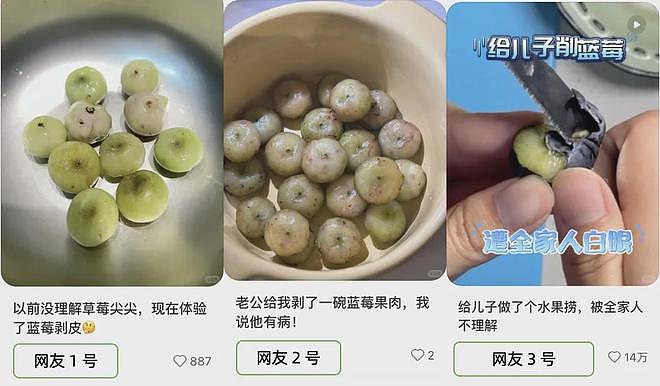 冷知识：千万不要买太大的蓝莓！！！（组图） - 7