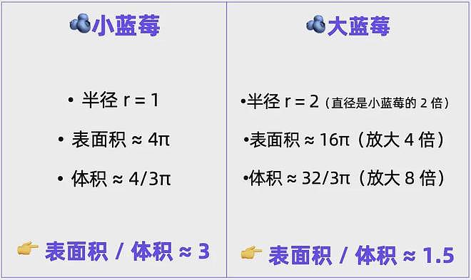 冷知识：千万不要买太大的蓝莓！！！（组图） - 8